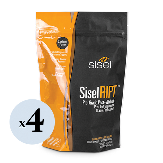 SiselRIPT™ Sunburst (4 Pack) Pro-Grade Post-Workout